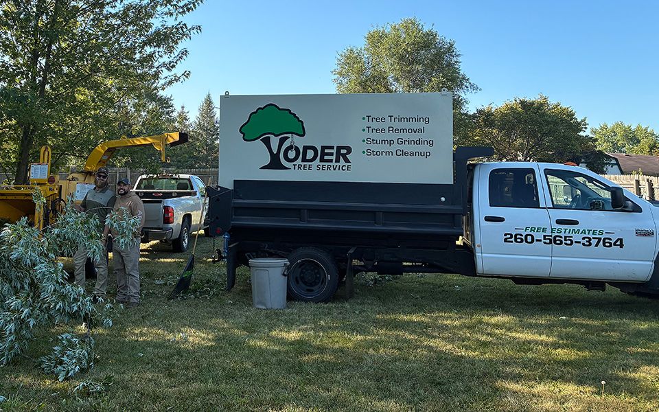 Safety, Service, and Satisfaction